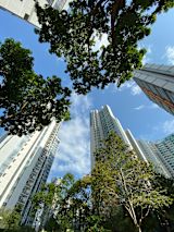 Decorative image of trees and tall buildings