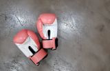 Decorative image of boxing gloves for article