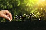 Green Growth