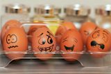 Decorative image of eggs with faces drawn on for article