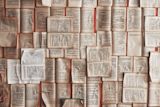 Decorative image of a spread of many books, for lesson 3.2