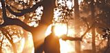 image of a person standing in a forest with the sun rising for article