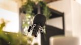 Decorative image of microphone for article