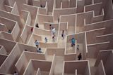 People in Maze