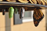 public-servants-are-tired-of-change-washing-not-change_asset_suzanne-d-williams-vmkbfr6r_jg-unsplash