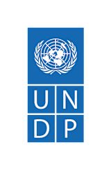 UNDP Logo in blue and white