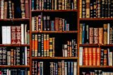 career-story-how-to-get-a-job-as-a-planner-in-local-government_asset_rsz_inaki-del-olmo-nijueqw0rkg-unsplash