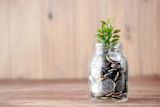Decorative image of coins in a jar for article