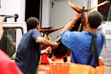 poaching-and-black-markets-are-wrecking-fish-supplies-but-theres-a-fix_asset_84310633_f128b0c152_b-1