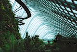 Green smart city