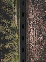 Deforestation with road