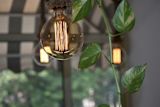 Decorative image of a lightbulb for an article