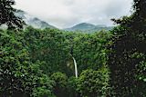 Costa Rica forest