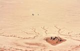 how-africa-can-win-the-climate-change-challenge_asset_ken-treloar-zsqnk41edpo-unsplash
