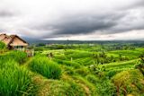 behavioural-science-is-boosting-child-nutrition-in-indonesia_asset_8786532143_ca59ef23a5_c