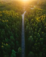 Aerial view of a winding two-lane road
