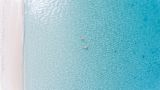 Decorative image of people floating in sea in Cayman Islands for article