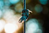 mohamed-ziyaadh-hL4Eqvmhco8-unsplash (1)