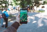 weekly-briefing-how-to-find-out-what-citizens-want_asset_pokemon-1