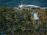 Bougainville — Asso Myron