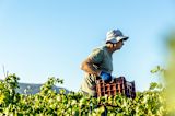 how-to-produce-more-food-while-wasting-less_asset_lambros-lyrarakis-1tawzlaaelu-unsplash