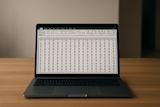 Laptop with Spreadsheet