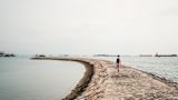 the-canaries-along-the-coast_asset_goh-rhy-yan-0lh8altokjg-unsplash