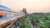 half-the-world-call-the-tropics-home-they-deserve-healthy-cities-too_asset_multipartbody9186153160873216446astemporaryfile