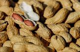 allergy-sufferers-know-theyre-eating-new-app_asset_nuts-1736520_1920