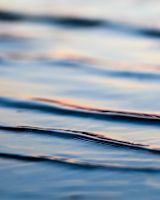 a-benediction-for-the-weary-public-servant_asset_ameen-fahmy-laxgr2dktm4-unsplash1