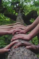 i-felt-alone-in-government-but-then-i-found-my-network_asset_rsz_shane-rounce-dnkonxqti3c-unsplash
