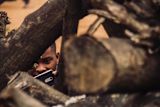 Person taking a photo through tree logs