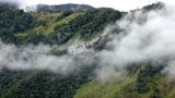 Colombia forest — Nicolas Pratlong