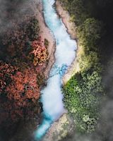 Decorative image of river birds eye view for article