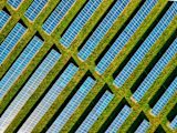 Decorative image of solar panels in a field of grass