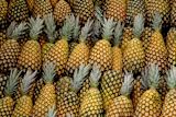 forum-costa-ricas-pineapple-traders-reforming-industry_asset_2848121119_4ea48f083c_o