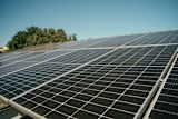 A row of solar panels