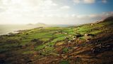Decorative image of Ireland landscape for article