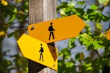 how-project-managers-can-face-uncertainty-and-build-resilience_asset_robert-ruggiero-x2bcqmmhaow-unsplash