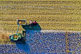 Tractor from above — Tom Fisk
