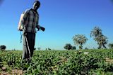millions-of-nigerians-live-in-extreme-poverty-fintech-could-be-the-answer_asset_24758332763_a171cd02fa_k-1