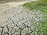 five-cleverest-partnerships-fighting-climate-change_asset_climate-change-2241061_1920