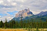 how-to-plant-trees-responsibly_asset_debra-glenn-y7kxh6nvmwi-unsplash-1