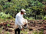 weather-data-helps-colombian-farmers-cope-climate-change_asset_colombia-farmer