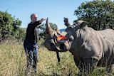 Rhinoceros with conservationist