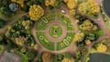Image of a park
