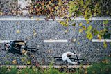 after-onegreengov-how-can-public-servants-address-climate-change_asset_rsz_umit-yildirim-m9fbetutrxy-unsplash
