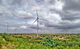 Senegal wind turbines — Kotresh A N