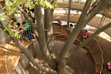 want-to-see-the-kindergarten-you-wish-you-had-as-a-child-its-in-japan_asset_screen-shot-2018-03-16-at-11.31.00