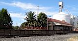why-refugees-from-myanmar-have-flocked-to-a-tiny-australian-town_asset_17114055056_f642ec1c5e_o-1